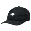 Grassroots California Polar Bear Black Suede Dad Hat