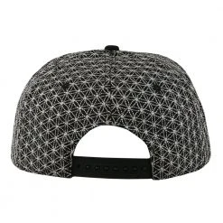 Grassroots California Laser Guided Visions Third Eye Silver Snapback Hat