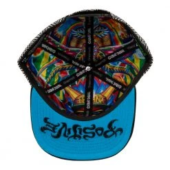 Grassroots California Hats Chris Dyer Ripper Twill Snapback Hat