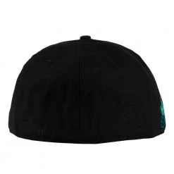 Grassroots California Ellie Paisley X Whitney Holbourn Eternal Sunshine Black Fitted Hat Hats