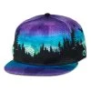 Grassroots California Hats Camproots V1 Fitted Hat