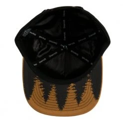Grassroots California New Bear Paw Grizzly Kids Snapback Hat