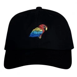 Grassroots California Scarlet Macaw Black Dad Hat New