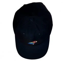 Grassroots California Scarlet Macaw Black Dad Hat New
