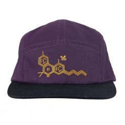 Grassroots California New THC Bee Purple 5 Panel Snapback Hat