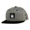 Grassroots California Bear Paw Gray Kids Snapback Hat