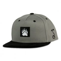 Grassroots California Bear Paw Gray Kids Snapback Hat