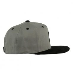 Grassroots California Bear Paw Gray Kids Snapback Hat