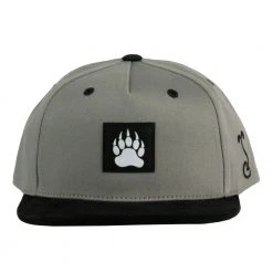 Grassroots California Bear Paw Gray Kids Snapback Hat