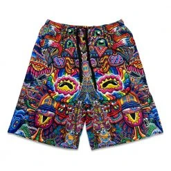 Grassroots California Chris Dyer Bullish Man Mesh Shorts New