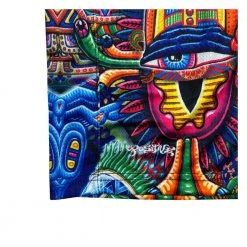 Grassroots California Chris Dyer Bullish Man Mesh Shorts New