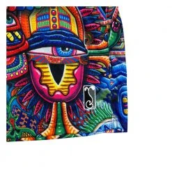 Grassroots California Chris Dyer Bullish Man Mesh Shorts New