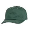 Grassroots California Touch Of Class Pine Dad Hat New