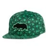 Grassroots California New Removable Bear Geo Triangles Seafoam Snapback Hat