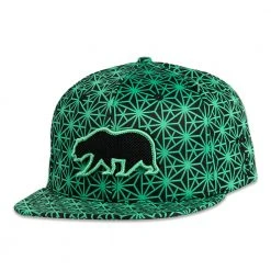 Grassroots California New Removable Bear Geo Triangles Seafoam Snapback Hat