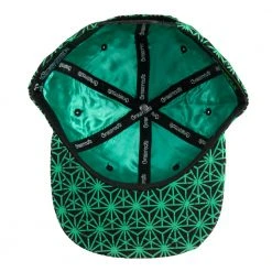 Grassroots California New Removable Bear Geo Triangles Seafoam Snapback Hat