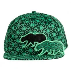 Grassroots California New Removable Bear Geo Triangles Seafoam Snapback Hat 13 Grassroots California New Removable Bear Geo Triangles Seafoam Snapback Hat
