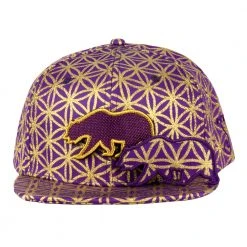 Grassroots California New Removable Bear Flower Of Life Royal Snapback Hat