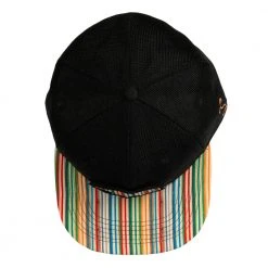 Grassroots California New Removable Bear Skateboard Deck Black Fitted Hat