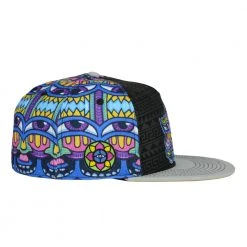 Grassroots California Chris Dyer Harmoneyes Blue Pattern Fitted Hat New