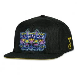 Grassroots California Chris Dyer Harmoneyes Blue Black Snapback Hat New